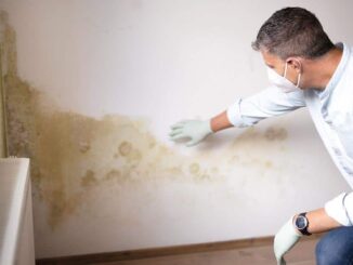 Mur intérieur avec traces d’humidité et moisissures