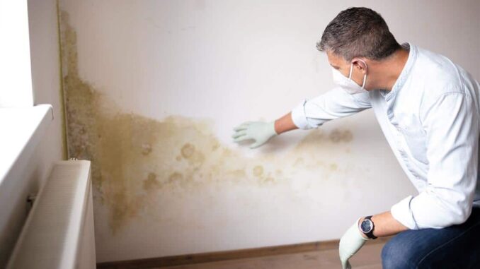 Mur intérieur avec traces d’humidité et moisissures