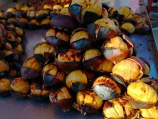 châtaignes bien cuites bien dorés